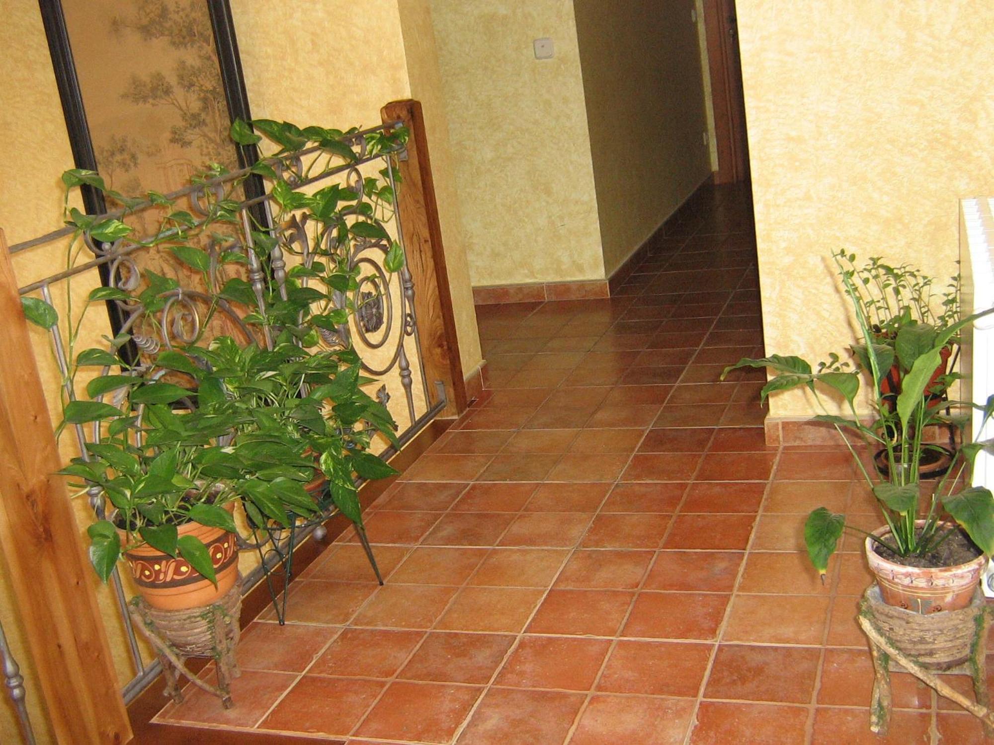 Cedillo de la Torre Hotel Rural El Museo المظهر الخارجي الصورة